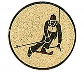 0356 Emblém lyžovanie