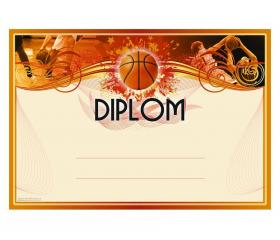 DB03c Diplom basketbal