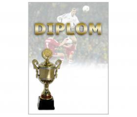 DF02o Diplom futbal