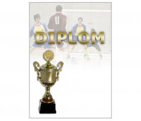 DF03b Diplom futbal
