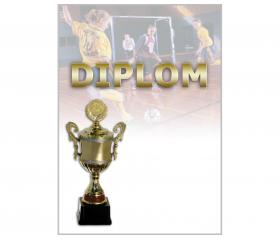 DF03d Diplom futbal