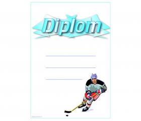 DH03a Diplom hokej