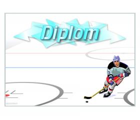 DH03b Diplom hokej