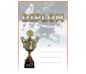 DH03d Diplom hokej ZADARMO