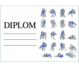 DJ03a Diplom judo ZADARMO