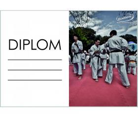 DK02b Diplom karate ZADARMO