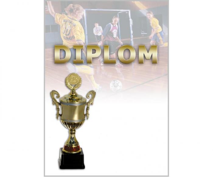 DF03d Diplom futbal - Kliknutím zobrazíte detail obrázku.