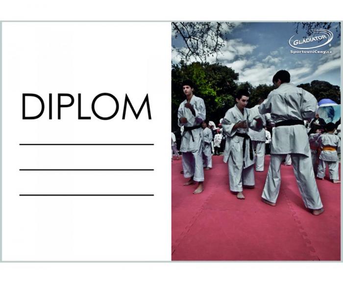 DK02b Diplom karate ZADARMO - Kliknutím zobrazíte detail obrázku.